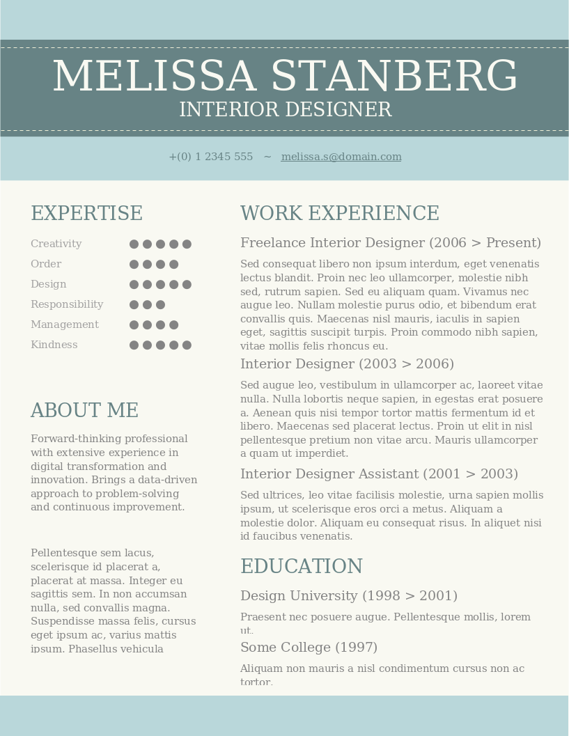 The Modern Day Candidate CV – Vorschau